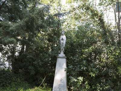 Scarpiniamo per qualche altro metro, lasciando alla nostra destra una statua raffigurante la Madonna l� presente sin dal giorno dell'apertura del Bonomo